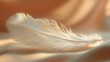   A tight shot of a white feather against a brown and beige backdrop, its edges softly blurred