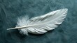   A white feather lies atop a blue sheet of paper, situated above a blue-green surface A white cane protrudes from the feather's side