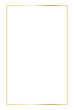 © Artulina - Golden rectangular vertical frame. Vector outline thin aesthetic geometric shine border for invitations design