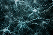 A pulsating, organic web of interconnected neurons.