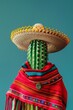 Cactus wearing traditional mexican sombrero hat and poncho. Cinco de Mayo holiday background. Viva Mexico. Traditional latin holiday, party or fiesta funny creative concept. Copy space