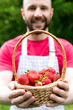 Young smiling male farmer holds a basket with fresh ripe strawberries in his hands. Harvesting strawberries. Close-up.