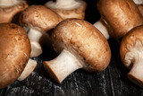 Fototapeta Mapy - brown mushroom on black wood background