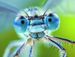 Close-up view of a damselfly showcasing intricate details and vibrant colors.