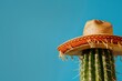 Mexican hat on cactus, Cinco de Mayo concept, Mexican tradition.