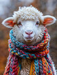 A sheep wears a warm, colorful wool scarf