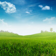 Summer meadow under bright sunlight, abstract seasonal backgrounds