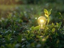Magical Light Bulb That Grows In The Grass Like A Tiny Plant! It Soaks Up Sunshine And Rain, Turning Them Into Bright Light. Nature And Technology Become Friends, 