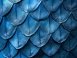 Close-up view of overlapping blue feathers creating a textured pattern.