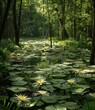 Mystical and magical lily pond in the middle of a dense forest