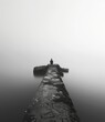 Black and white photo of a person sitting on a dock in the middle of a lake on a foggy day