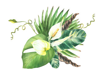 Wall Mural - Tropical botanical bouquet, anthurium flowers, palm leaf, calathea, creeper home plant leaves.Exotic southern bud jungle greenery clipart Watercolor hand drawn illustration Isolated white background. 