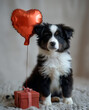 Un Perro pequeño al lado de corazón de ballon  