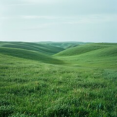 Poster - Green rolling hills of the prairie