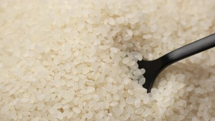 Wall Mural - Raw rice camolino take with spoon, close up