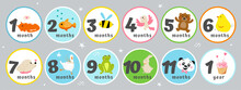 Vector Cute Baby Stickers With Month Of Age, Animals, Birds, Sweets. 