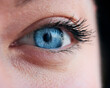 Macro Studio Expression Shot Of Woman's Eye With Close Up On Eyelashes And Pupil