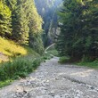 Trail to the Three Crowns peak, Pieniny Mountains, 2023