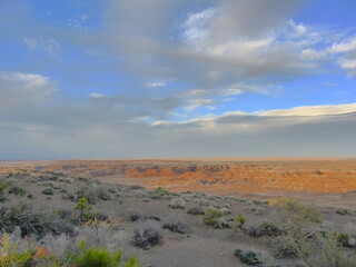 Canvas Print - Beautiful Landscape Painted desert Arizona USA
