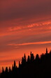 tramonto sui cipressi con cielo rosso
