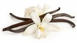 Several dark brown vanilla pods arranged artistically with delicate white orchid flowers on a white background.