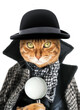 A cat with a magnifying glass dressed as a detective or sleuth.