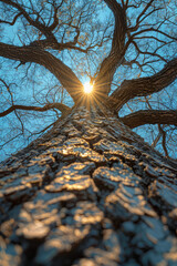 Aufkleber - A fractal tree with detailed branching, each limb following the golden ratio for its bifurcations,