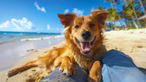 Fototapeta Na ścianę - Dog playing and looking at owner face while lying on owner leg at sea beach with blue sea and sky background.