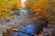landscape of river in autumn season