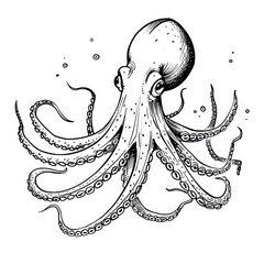 octopus drawing Coloring book page