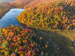 Poster - aerial view of autumn forest and mountain in New England