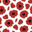 Floral seamless pattern with poppy flowers. Vector flat botanical background