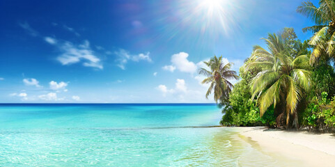 Wall Mural - beautiful tropical beach with white sand, palm trees, turquoise ocean against blue sky with clouds o