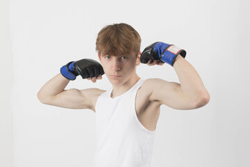 Wall Mural - A Teenager Boxer