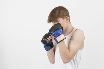 Wall Mural - A Teenager Boxer