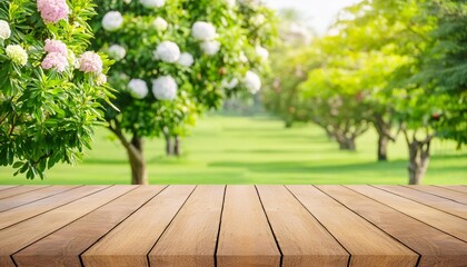 Wall Mural - wooden empty and blurred fresh green nature garden background