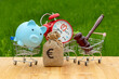 Money bag with euro symbol, supermarket trolleys, piggy bank, judge's gavel and clock on grass background