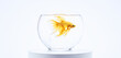 illustrazione di pesce ornamentale in boccia di vetro con acqua limpida