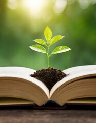 Wall Mural - Seedling Growing From Open Book. Knowledge, Growth, Education Concept