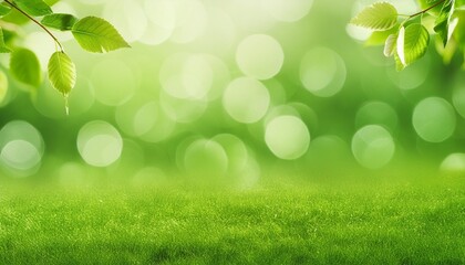 Wall Mural - spring background abstract banner green blurred bokeh lights panorama header