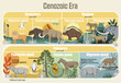 Cenozoic Era: Geological timeline spanning from the Paleocene Epoch to Holocene Epoch.