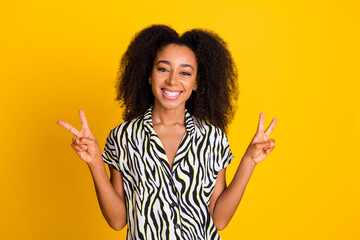 Portrait photo of glamour young charming woman curly hair in zebra print shirt double v sign isolated on yellow color background