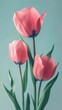 Three tulips isolated on teal background. Generative AI