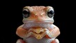   A frog's close-up with expressive eyes conveys a melancholic expression
