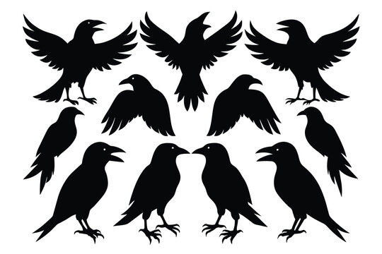 Crow silhouette bundle vector illustration