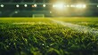 football stadium with lights - grass close up in sports arena - background