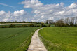 A view along a pathway in rural Sussex, with young crops growing either side and a blue sky overhead