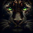 Close up Of Leopard Face With Black Background 4K Wallpaper, vibrant green eyes