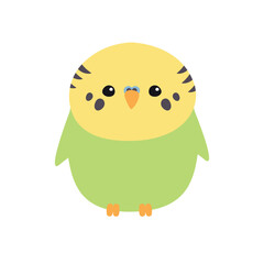 Poster - Vector flat hand drawn green budgie parrot isolated on white background