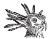 © Алексей Воробьёв - Graphical portrait of secretary bird isolated on white background, vector illustration